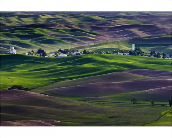 USA, Washington, Whitman County. Steptoe Butte view of Steptoe town and Palouse hills in green