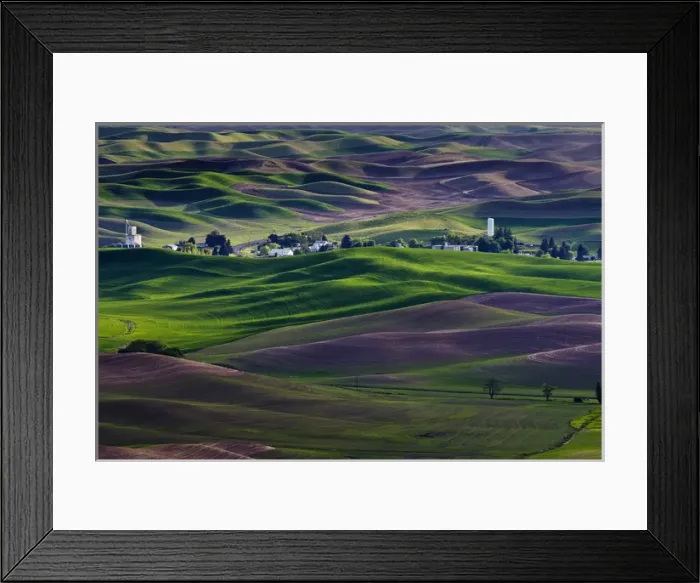 Framed Print : USA, Washington, Whitman County. Steptoe Butte view of Steptoe town and Palouse hills in green
