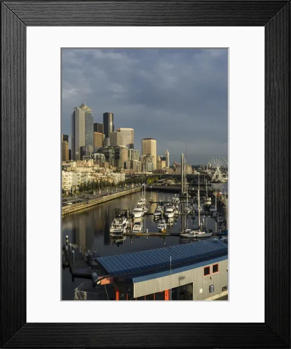 Framed Print : USA, Washington, Seattle. Skyline and waterfront over Pier 66 Bell Harbor Marina Framed Print : USA, Washington, Seattle. Skyline and waterfront over Pier 66 Bell Harbor Marina