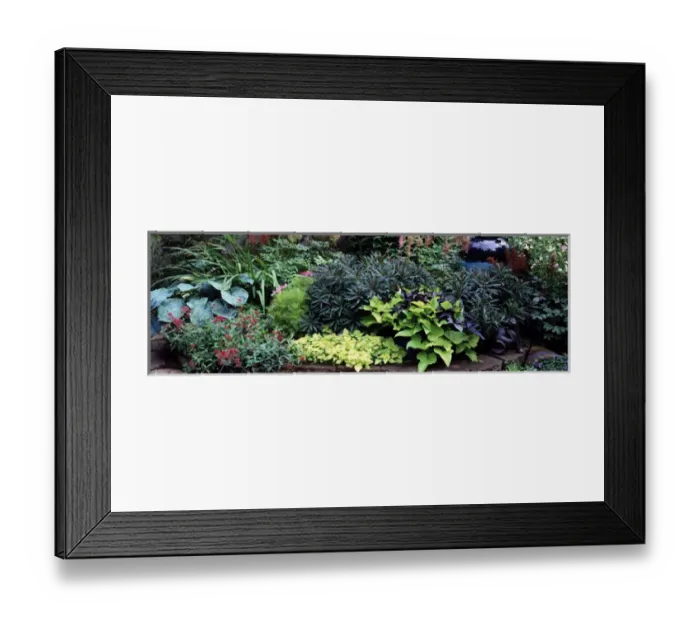 Framed Print : USA, Washington, Sammamish, Perennal Gardens Framed Print : USA, Washington, Sammamish, Perennal Gardens