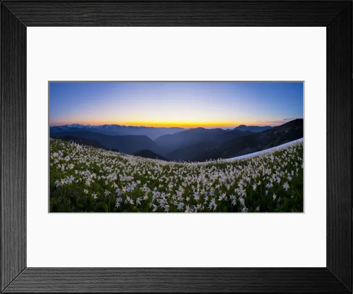 Framed Print : USA, Washington State, Olympic National Park