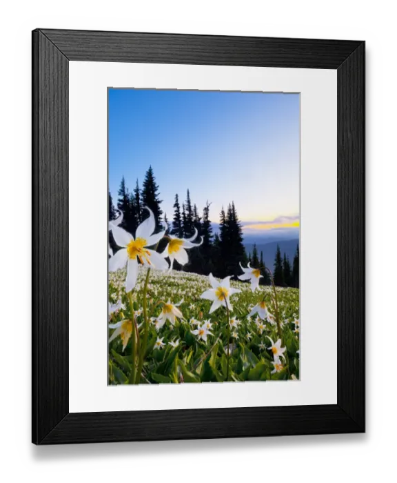 Framed Print : USA, Washington State, Olympic National Park Framed Print : USA, Washington State, Olympic National Park