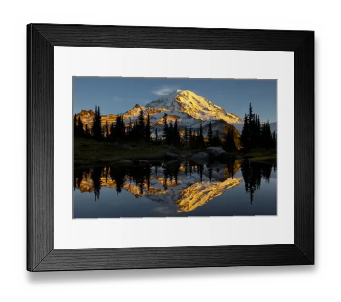 Framed Print : USA, Washington State, Mt. Rainier National Park Framed Print : USA, Washington State, Mt. Rainier National Park