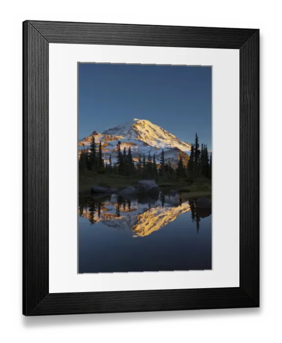 Framed Print : USA, Washington State, Mt. Rainier National Park