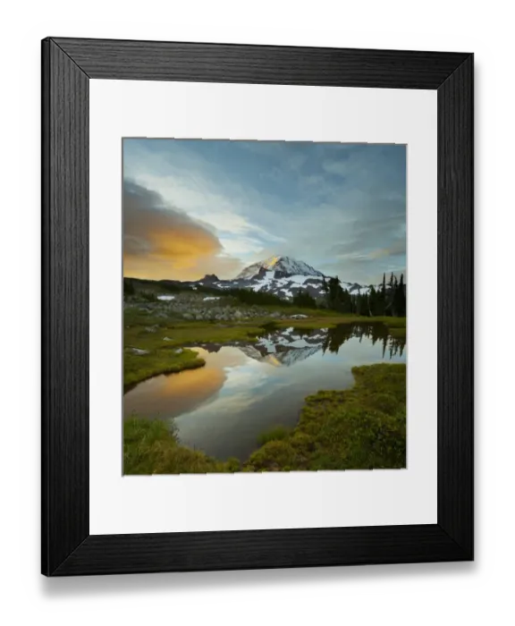 Framed Print : USA, Washington State, Mt. Rainier National Park Framed Print : USA, Washington State, Mt. Rainier National Park