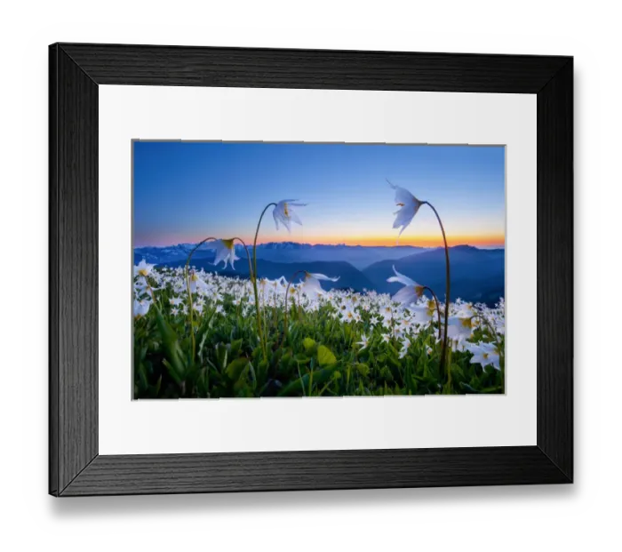 Framed Print : USA, Washington State, Olympic National Park