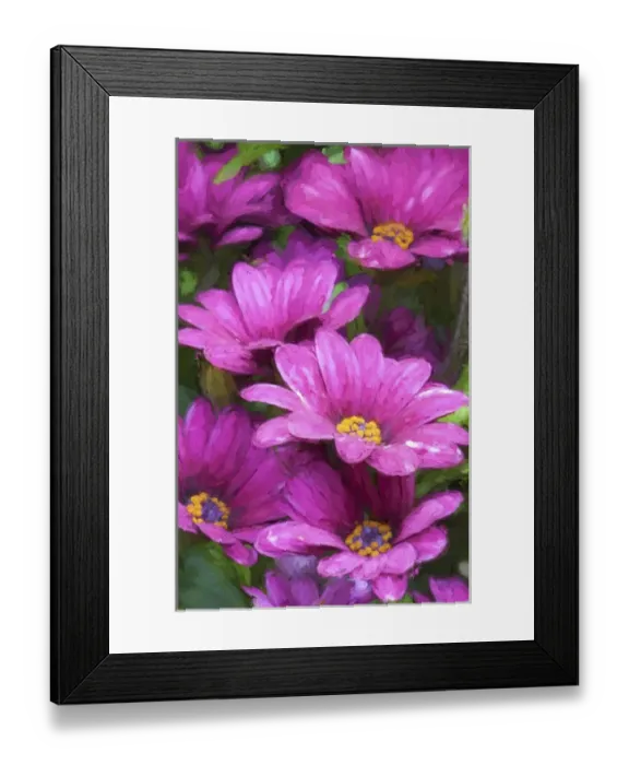 Framed Print : USA, Washington, Sammamish, Pink Flowers in a Row, Digitally Altered Framed Print : USA, Washington, Sammamish, Pink Flowers in a Row, Digitally Altered