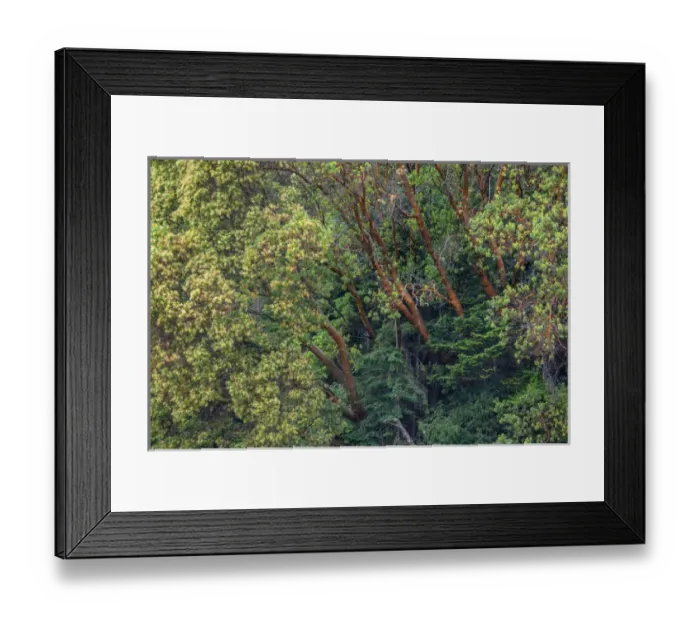 Framed Print : USA, Washington, San Juan Island National Historical Park, English Camp, Pacific Framed Print : USA, Washington, San Juan Island National Historical Park, English Camp, Pacific