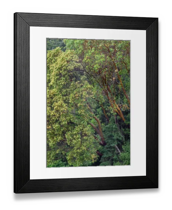 Framed Print : USA, Washington, San Juan Island National Historical Park, English Camp, Pacific