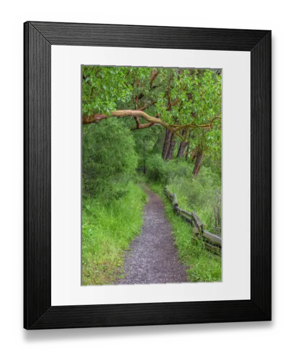 Framed Print : USA, Washington, San Juan Island National Historical Park, English Camp, Bell Point