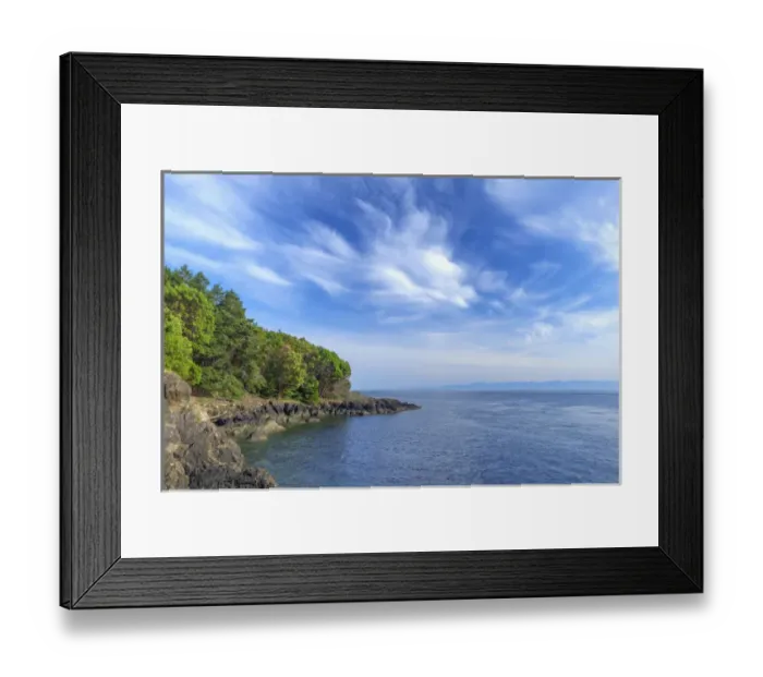 Framed Print : USA, Washington, San Juan Island, Lime Kiln Point State Park, Pacific madrone trees Framed Print : USA, Washington, San Juan Island, Lime Kiln Point State Park, Pacific madrone trees