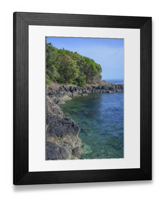 Framed Print : USA, Washington, San Juan Island, Lime Kiln Point State Park, Pacific madrone trees