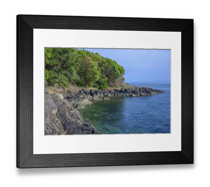 Framed Print : USA, Washington, San Juan Island, Lime Kiln Point State Park, Pacific madrone trees Framed Print : USA, Washington, San Juan Island, Lime Kiln Point State Park, Pacific madrone trees