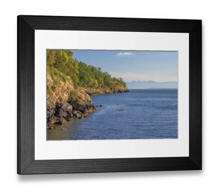 Framed Print : USA, Washington, San Juan Island, Pacific madrone and Douglas fir grow above rocky Framed Print : USA, Washington, San Juan Island, Pacific madrone and Douglas fir grow above rocky
