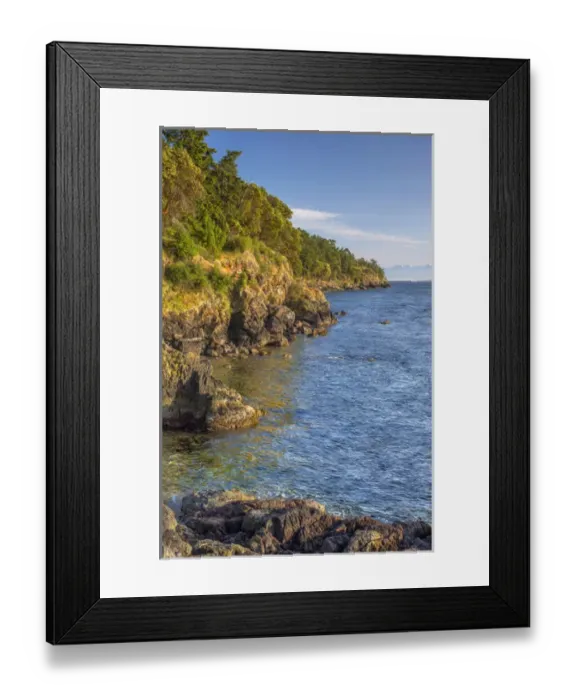 Framed Print : USA, Washington, San Juan Island, Pacific madrone and Douglas fir grow above rocky Framed Print : USA, Washington, San Juan Island, Pacific madrone and Douglas fir grow above rocky