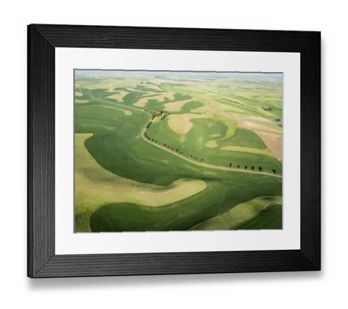 Framed Print : USA, Washington state, Palouse, Whitman County Framed Print : USA, Washington state, Palouse, Whitman County