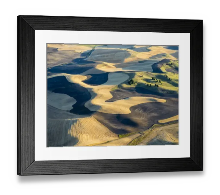 Framed Print : USA, Washington state, Palouse, Whitman County Framed Print : USA, Washington state, Palouse, Whitman County