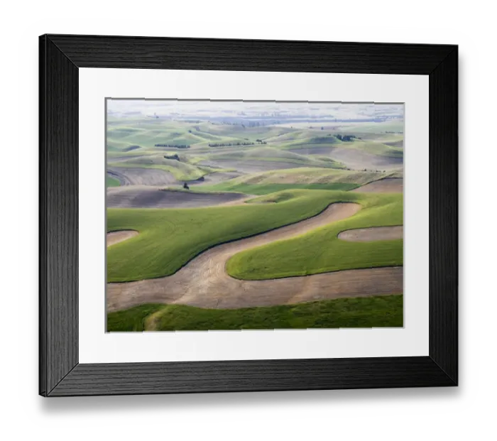 Framed Print : USA, Washington state, Palouse, Whitman County Framed Print : USA, Washington state, Palouse, Whitman County