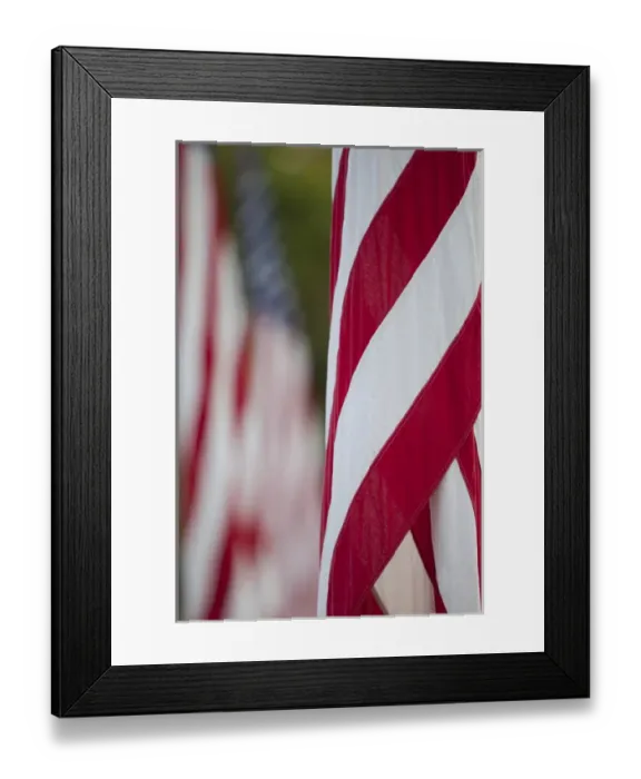 Framed Print : North America, United States, Washington, Bellevue, American flags Framed Print : North America, United States, Washington, Bellevue, American flags
