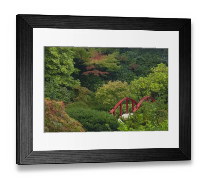 Framed Print : North America, United States, Washington, Renton, red bridge in Kubota Japanese Garden