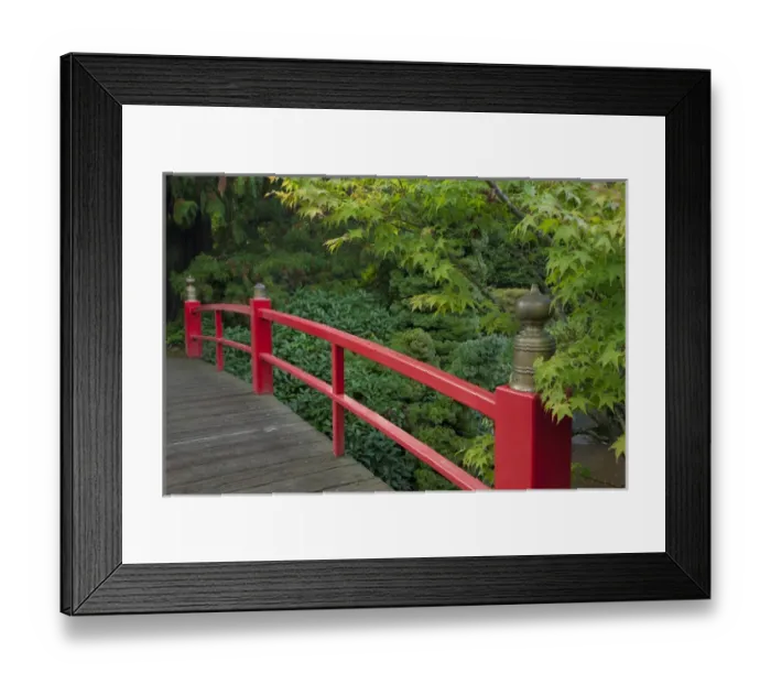 Framed Print : North America, United States, Washington, Renton, red bridge in Kubota Japanese Garden