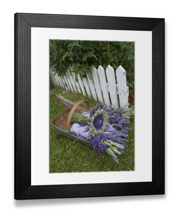 Framed Print : North America, United States, Washington, Sequim, garden and basket of bouquets of