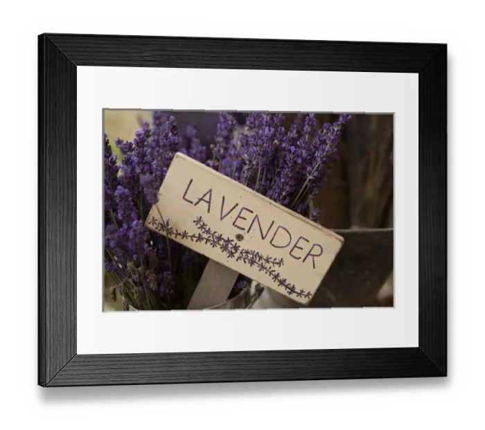 Framed Print : North America, United States, Washington, Sequim, sign with dried lavender for sale