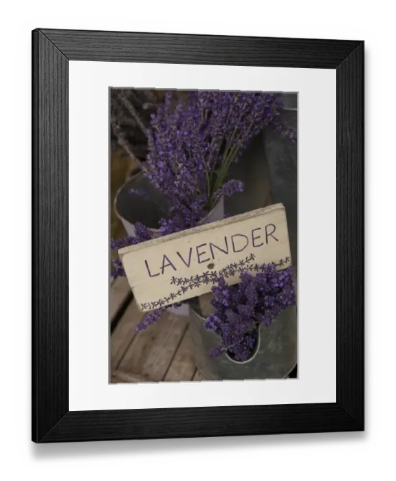 Framed Print : North America, United States, Washington, Sequim, sign with dried lavender for sale Framed Print : North America, United States, Washington, Sequim, sign with dried lavender for sale
