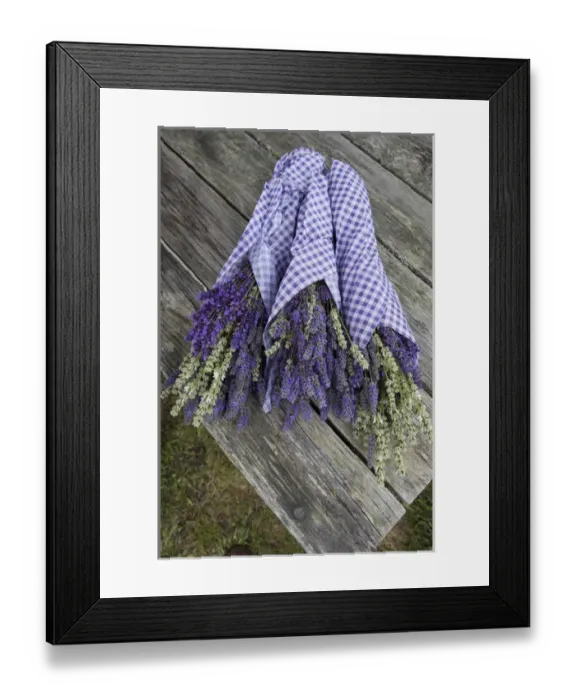 Framed Print : North America, United States, Washington, Sequim, wrapped bouquets of dried lavender Framed Print : North America, United States, Washington, Sequim, wrapped bouquets of dried lavender