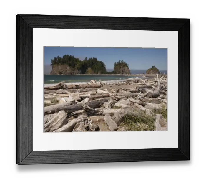 Framed Print : North America, United States, Washington, La Push, driftwood on First Beach with