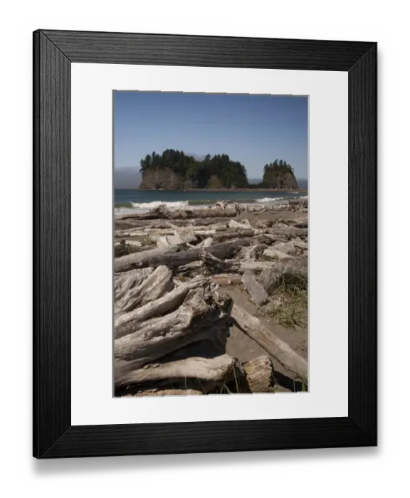 Framed Print : North America, United States, Washington, La Push, driftwood on First Beach with Framed Print : North America, United States, Washington, La Push, driftwood on First Beach with