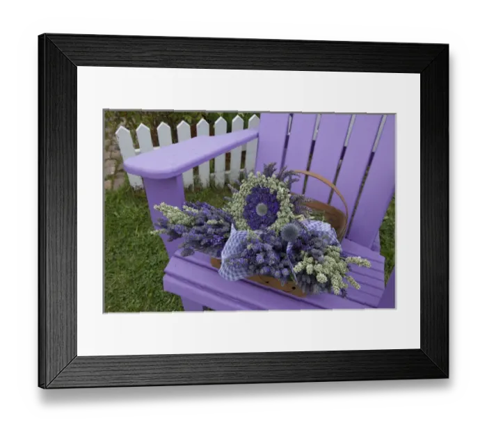 Framed Print : North America, United States, Washington, Sequim, bouquets of dried lavenderon purple