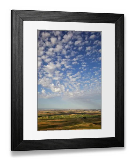 Framed Print : WA, Whitman County, Palouse Farmland, view from Steptoe Butte Framed Print : WA, Whitman County, Palouse Farmland, view from Steptoe Butte