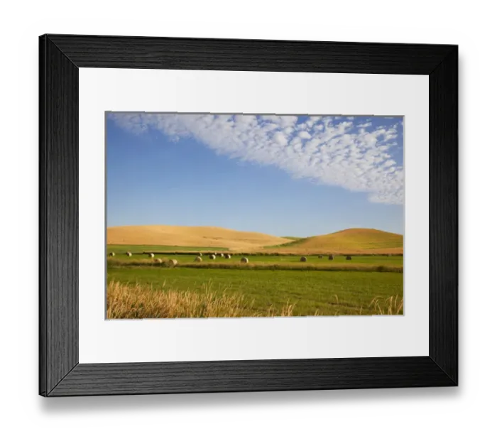 Framed Print : WA, Whitman County, Palouse Farmland Framed Print : WA, Whitman County, Palouse Farmland