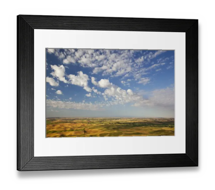Framed Print : WA, Whitman County, Palouse Farmland, view from Steptoe Butte Framed Print : WA, Whitman County, Palouse Farmland, view from Steptoe Butte