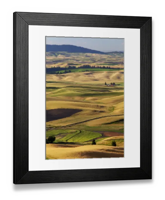 Framed Print : WA, Whitman County, Palouse Farmland, view from Steptoe Butte Framed Print : WA, Whitman County, Palouse Farmland, view from Steptoe Butte