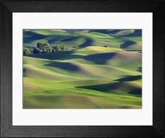 Framed Print : WA, Whitman County; view of farmland from Steptoe Butte