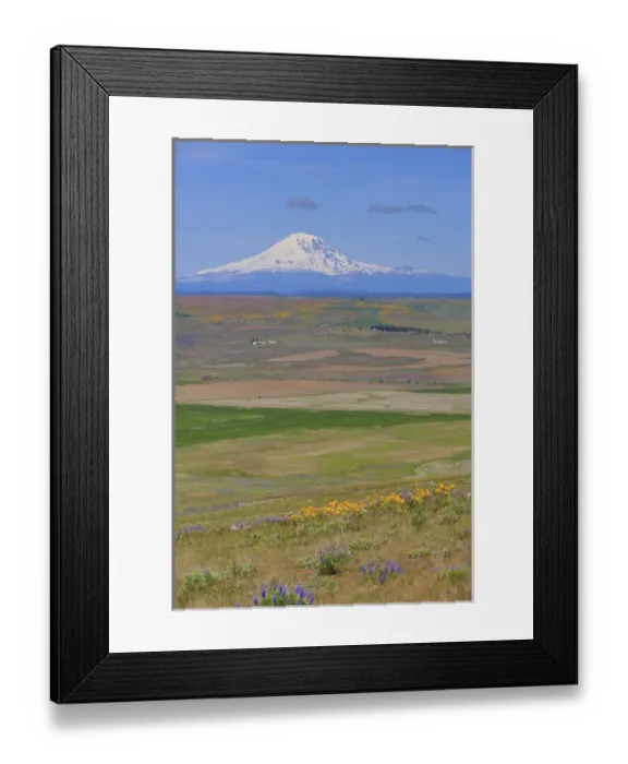 Framed Print : Columbia Hills State Park, Dallesport, Washington Framed Print : Columbia Hills State Park, Dallesport, Washington