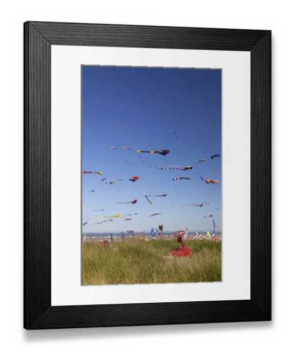 Framed Print : WA, Long Beach, International Kite Festival, Colorful kites Framed Print : WA, Long Beach, International Kite Festival, Colorful kites