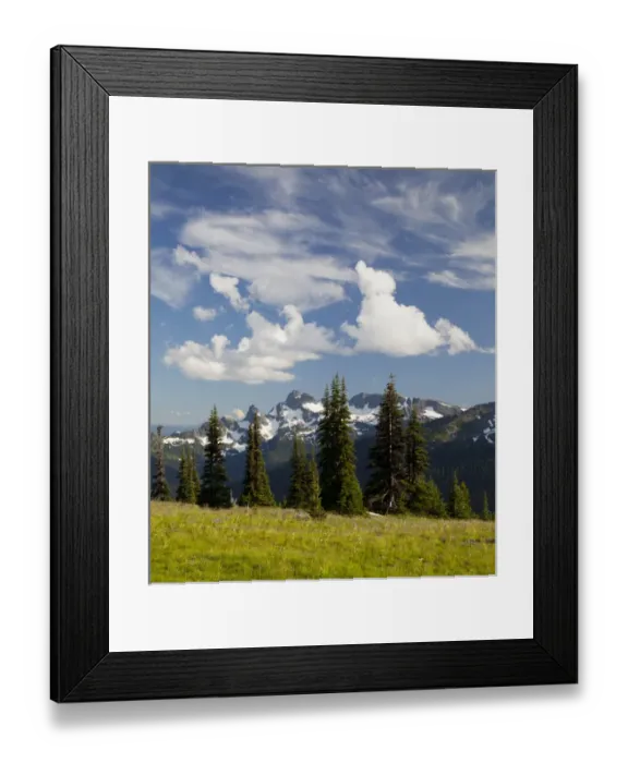Framed Print : WA, Mount Rainier National Park, Alpine meadow and Sarvent Glaciers, view from Sunrise Framed Print : WA, Mount Rainier National Park, Alpine meadow and Sarvent Glaciers, view from Sunrise