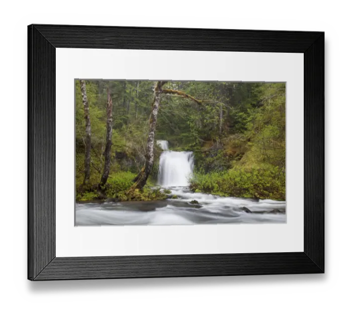 Framed Print : WA, Gifford Pinchot National Forest, Twin Falls, Twin Falls Creek empties into