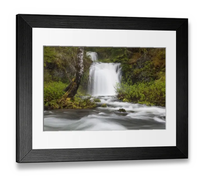Framed Print : WA, Gifford Pinchot National Forest, Twin Falls, Twin Falls Creek empties into