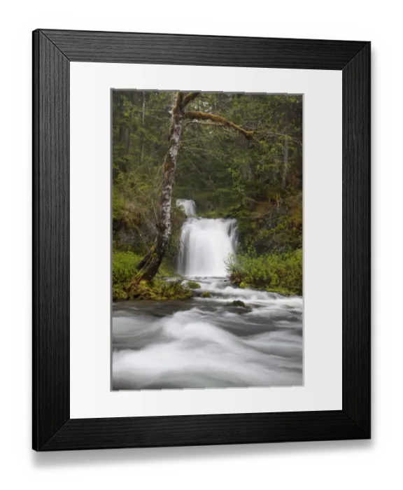 Framed Print : WA, Gifford Pinchot National Forest, Twin Falls, Twin Falls Creek empties into