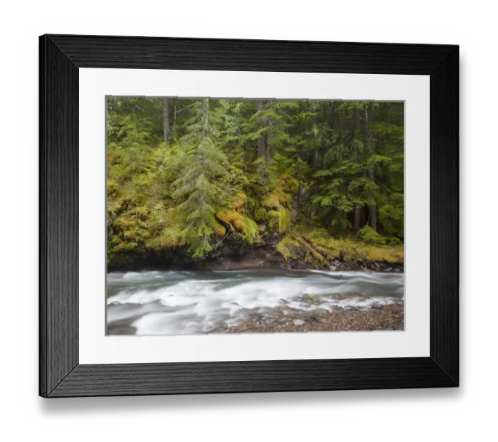 Framed Print : WA, Gifford Pinchot National Forest, Lewis River Framed Print : WA, Gifford Pinchot National Forest, Lewis River