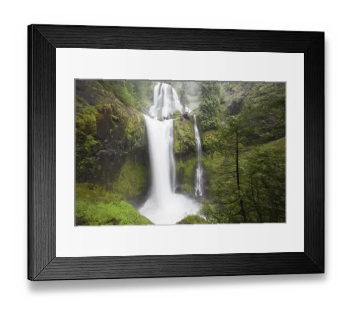 Framed Print : WA, Gifford Pinchot National Forest, Falls Creek Falls, plunges 250 feet
