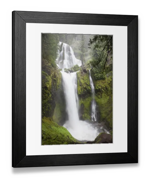 Framed Print : WA, Gifford Pinchot National Forest, Falls Creek Falls, plunges 250 feet Framed Print : WA, Gifford Pinchot National Forest, Falls Creek Falls, plunges 250 feet