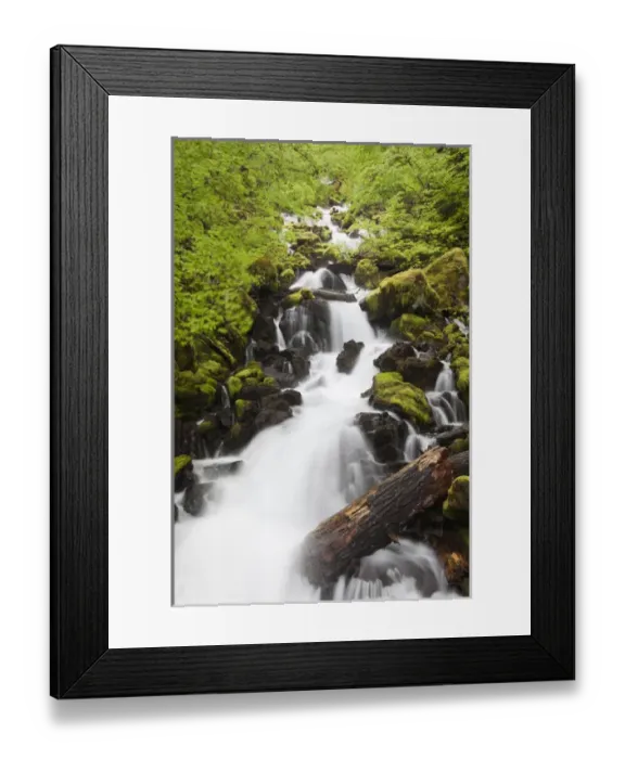 Framed Print : WA, Gifford Pinchot National Forest, Moss covered rocks and stream Framed Print : WA, Gifford Pinchot National Forest, Moss covered rocks and stream
