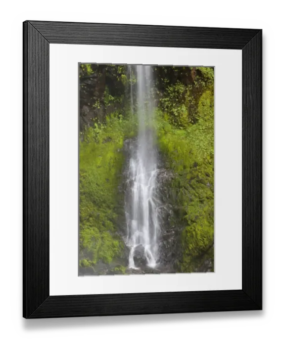 Framed Print : WA, Gifford Pinchot National Forest, Soft cascade at Falls Creek Falls Framed Print : WA, Gifford Pinchot National Forest, Soft cascade at Falls Creek Falls