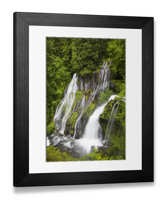 Framed Print : WA, Gifford Pinchot National Forest, Panther Creek Falls, with a second waterfall Framed Print : WA, Gifford Pinchot National Forest, Panther Creek Falls, with a second waterfall