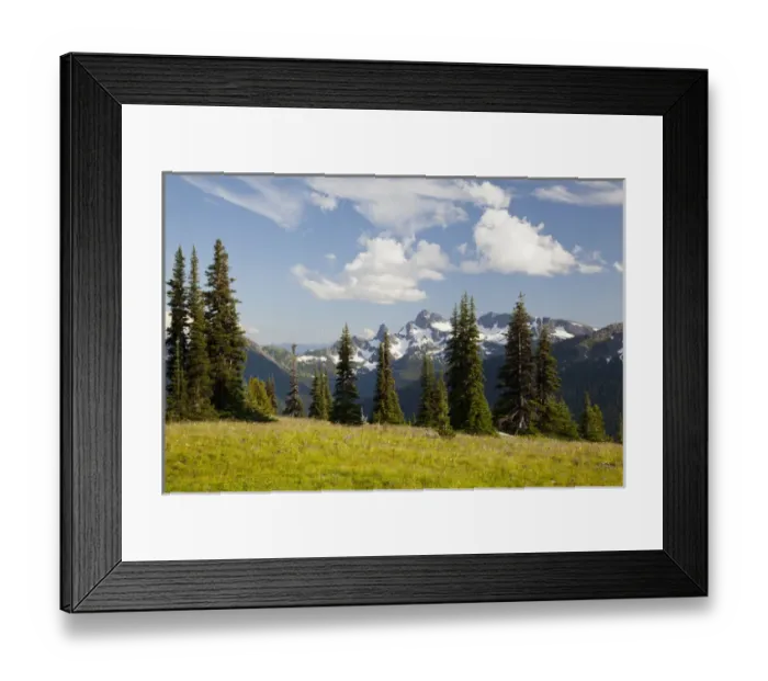Framed Print : WA, Mount Rainier National Park, Alpine meadow and Sarvent Glaciers, view from Sunrise Framed Print : WA, Mount Rainier National Park, Alpine meadow and Sarvent Glaciers, view from Sunrise